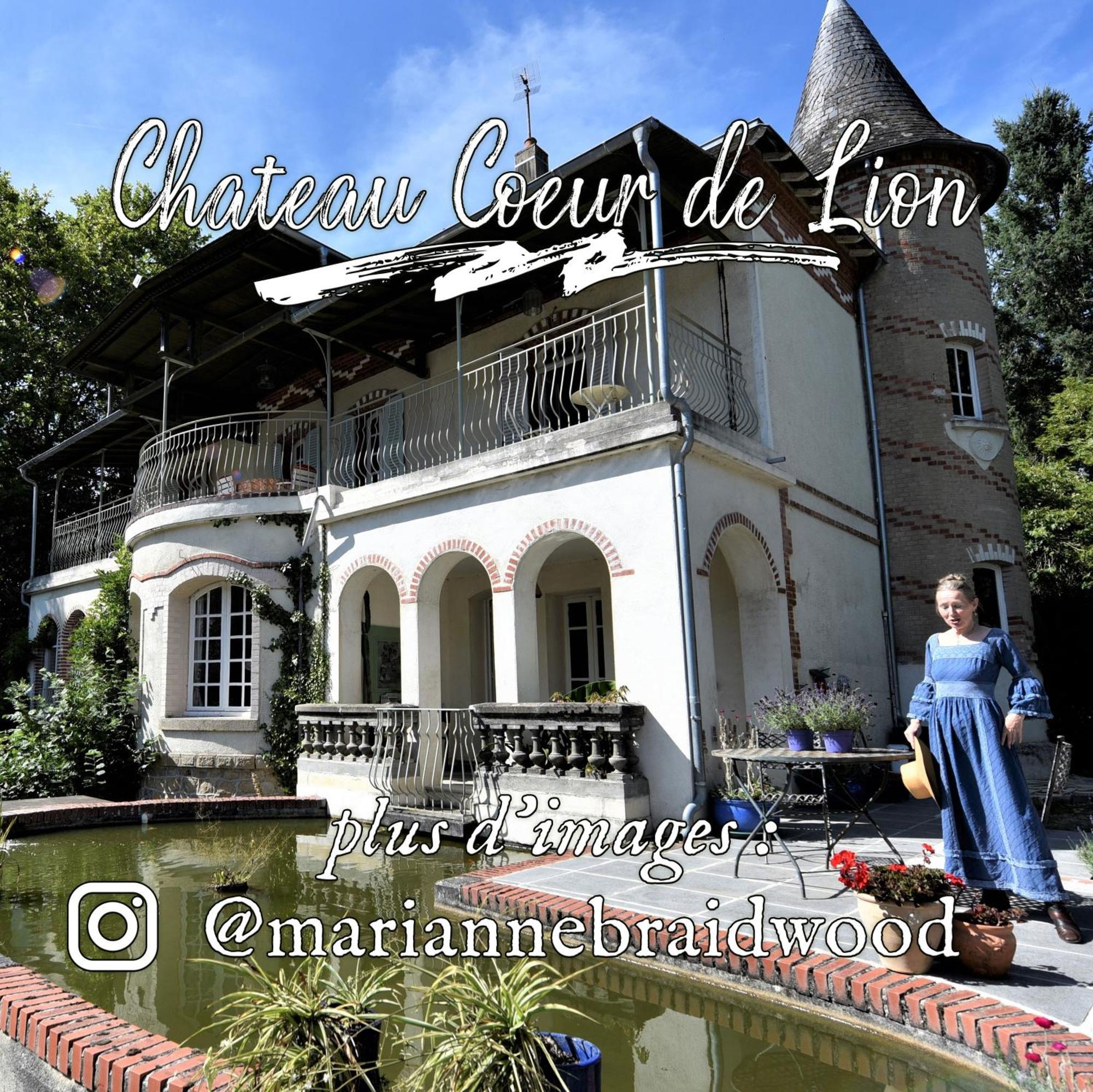 Châteauponsac Chateau Coeur De Lion מראה חיצוני תמונה