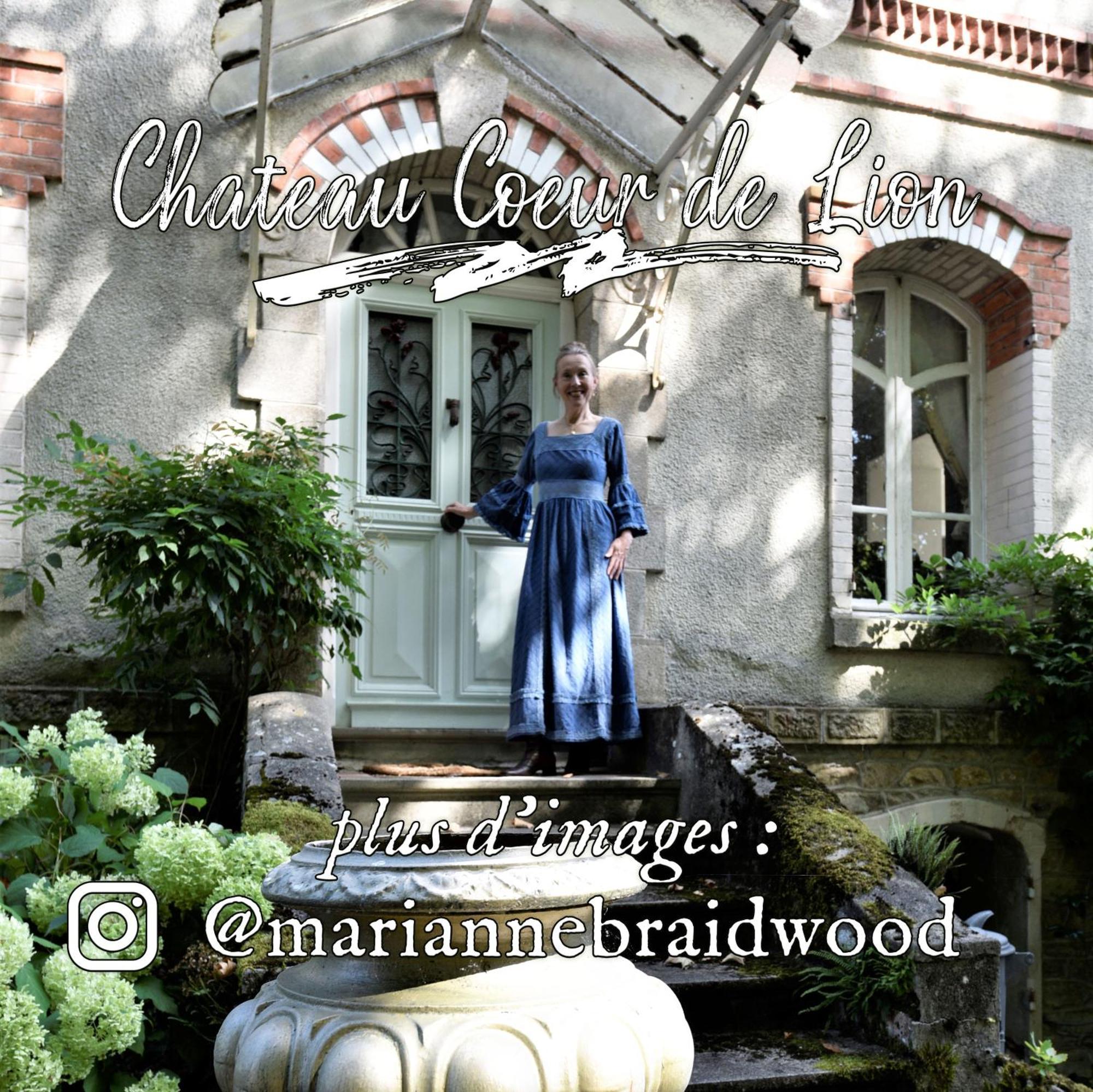Châteauponsac Chateau Coeur De Lion מראה חיצוני תמונה